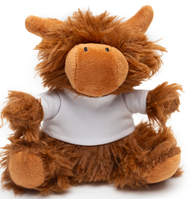 Personalised Animal Plushie Keyrings Toys